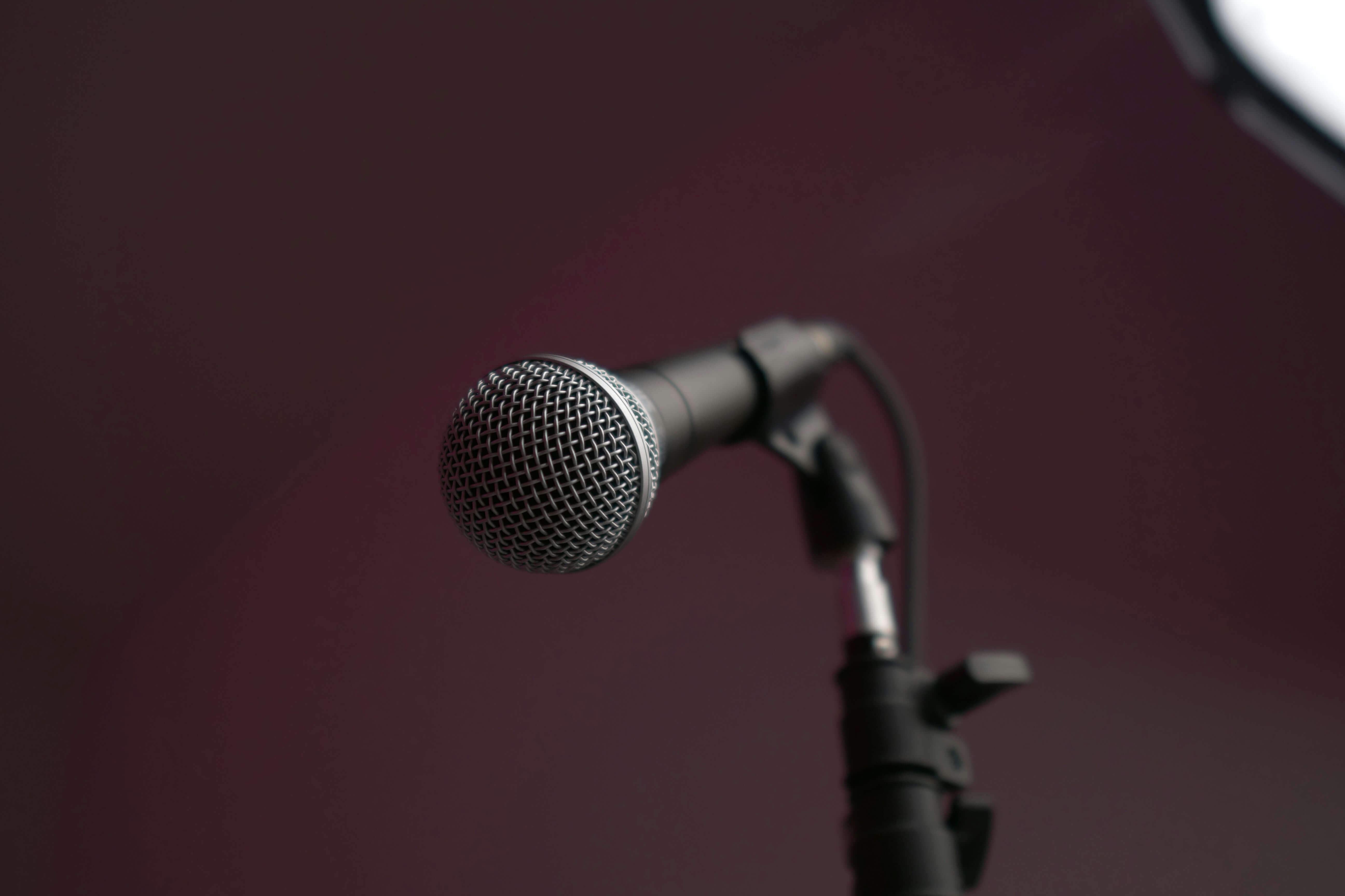 The Noise We Carry Placeholder